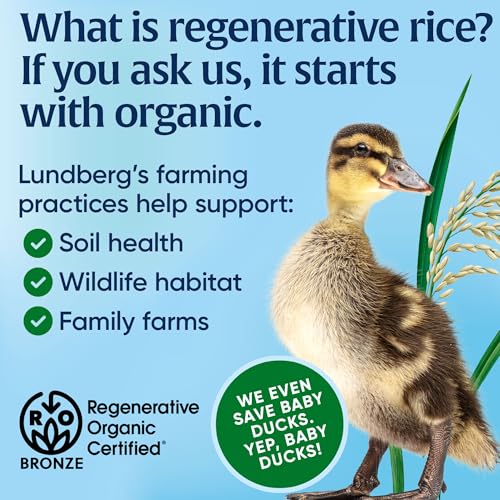 Lundberg Rice Cake Wild Rice Org 8.5 OZ