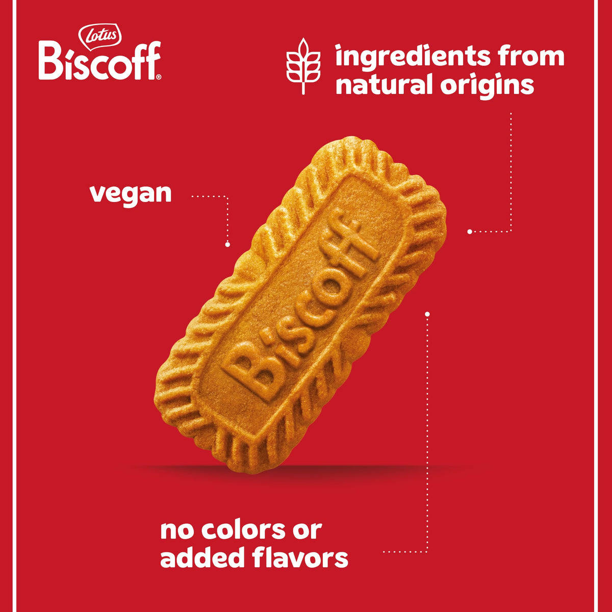 Biscoff At Home