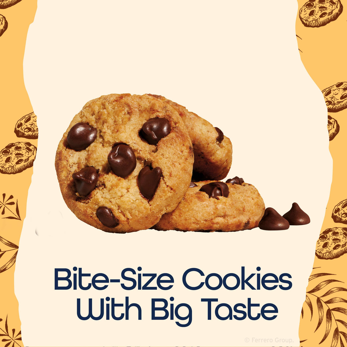 Famous Amos av2024-Famous Amos-famous amos classic chocolate chip cookies o-fd1c19e1